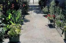 Apartman Antea, Sućuraj Hvar - Foto 30