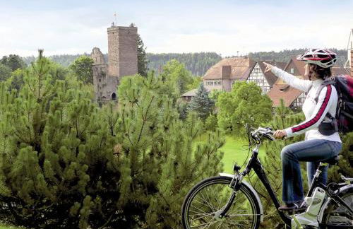 Würzbachhaus - Foto 6