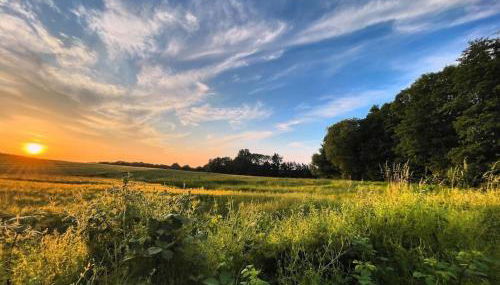 Holiday home treehouse Weissenhäuser Strand - Foto 5, Other