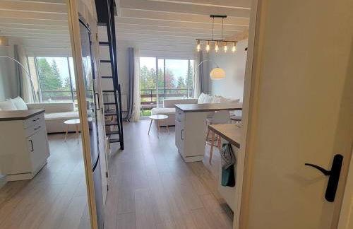 Duplex 6 pers - Centre station - Ski/Randonnées - Balcon - FR-1-393-177 - Foto 5