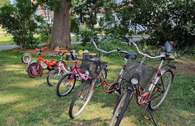 Ostsee-Landhaus - Foto 47