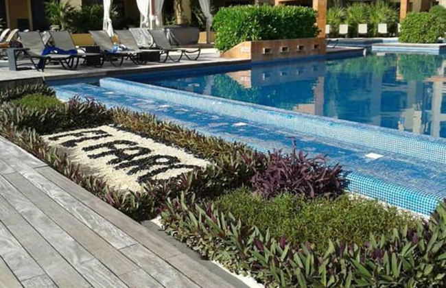 El Faro 403 SURF - Photo 20