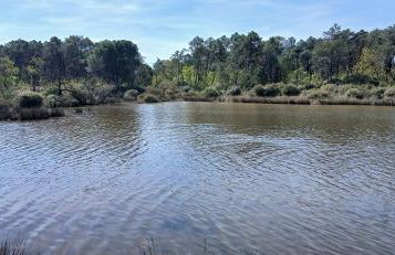 GoldenSand mobilehome - Foto 32