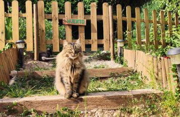 Apartamento rural NÍVALIS - Foto 33