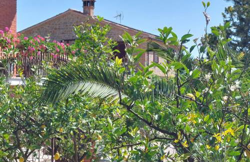 Casale San Martino Agriturismo Bio - Foto 34