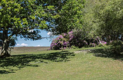 Brook Farm - Foto 36