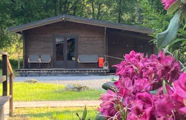 Heidegut Eschede Reitsportanlage und Feriendorf - Foto 55