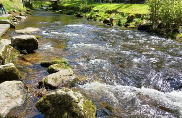 Appartement Herrlich - Foto 37