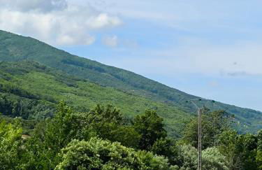 Los Naranjos de Jerte - Foto 11