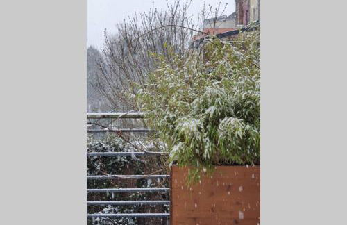 Maison Famille-Confort-Terrasse Jardin-Vue Cathédrale - Foto 31