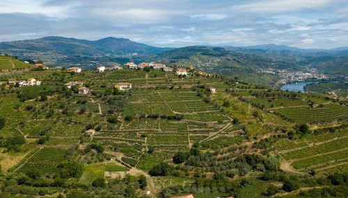 Villa Julieta - Foto 5