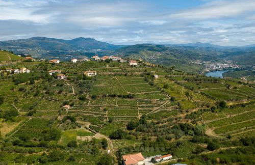 Villa Julieta - Foto 5