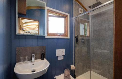 The Acorn - Luxury Shepherds Hut hot tub panoramic views - Foto 42