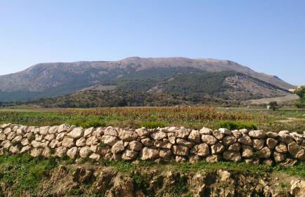 Casa de la Abuela Pepa - Foto 48