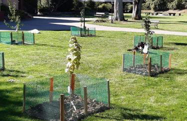 DOMKI w Zaciszu - Foto 46