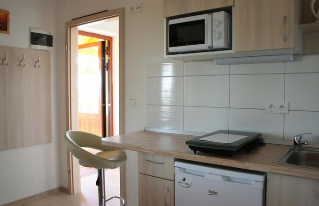 PENZION POD PALAVU - Photo 8