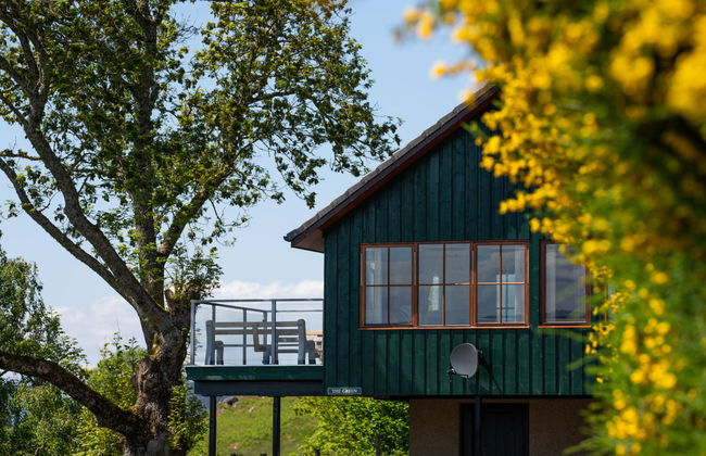 Achmony Green - Foto 25