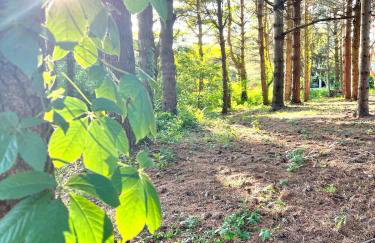 The Dorothy- Private Ravine Wooded Lot, with Game Room, Close to ALL! - Foto 27