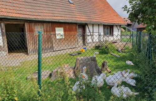 Ferienhaus Brockenbauer - Foto 13