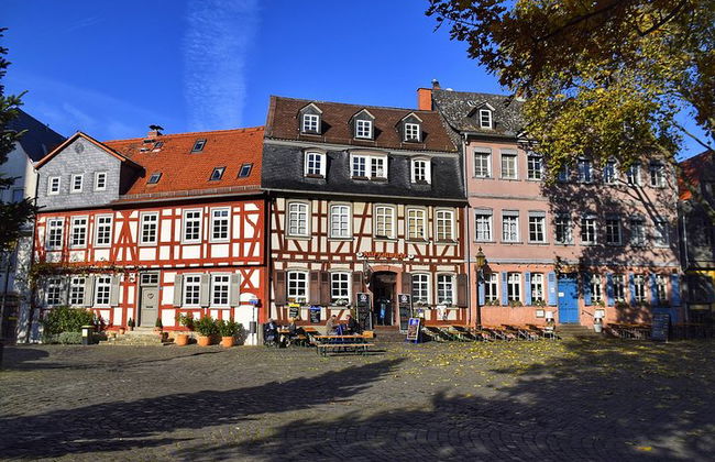 Layover in Frankfurt a Private Tour with a local: Best Highlights of Frankfurt - Photo 3