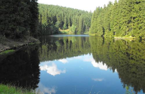 Apartment in Wildemann Near Hahnenklee Ski Area - Foto 25