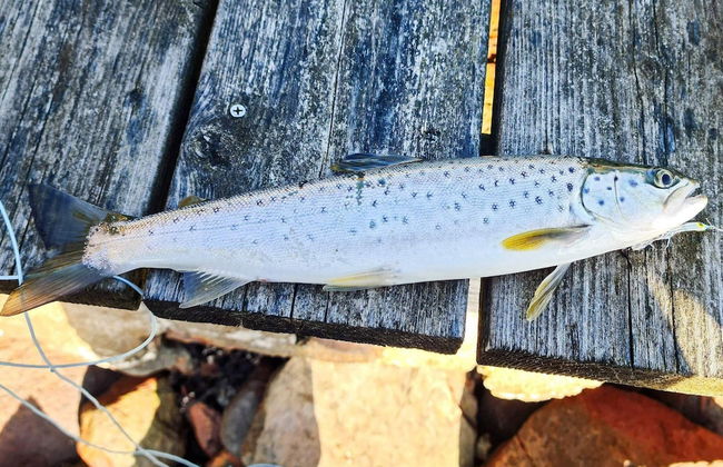 7 Person Holiday Home in Tjorn-by Traum - Foto 16