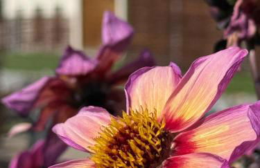 Müller's Stuben - Foto 14