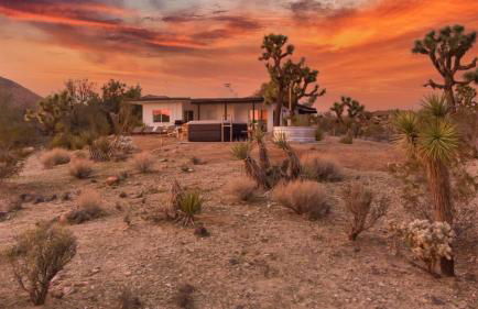 Kinetic House-Joshua Trees Sculptures Cowboy Pool - Foto 6