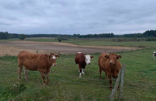 Giżycko-Przerwanki Domki Widok na Mazury - Foto 49