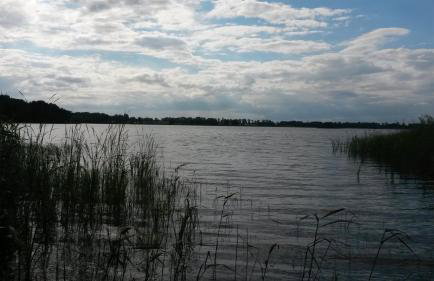 Dziki brzeg Jezioraka - Foto 33