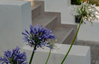 Galio Suites Airport by Airstay - Photo 50