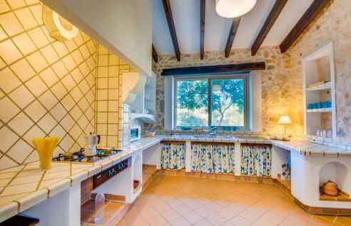 Higo Chumbo - Foto 31