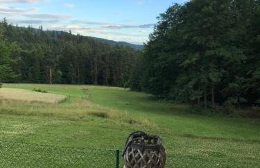 Domek w borówkach - Foto 13