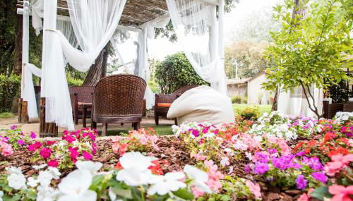 La Tavernetta dei Ronchi - Foto 5