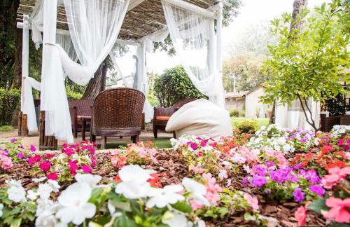 La Tavernetta dei Ronchi - Foto 5