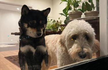 Main Street cabin - Foto 26