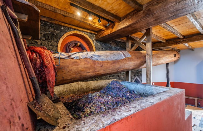 Casas da Luz - Casa da M e by Homie - Foto 14