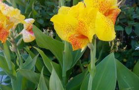 Marketos Apartments - Foto 34