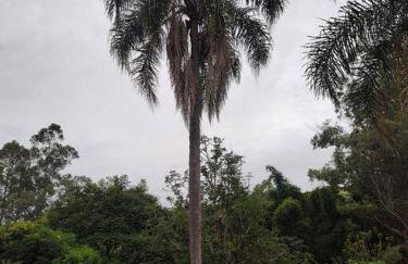 Recanto da Zizi e do Nezico - Foto 10