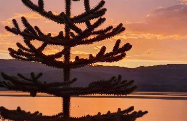 Thistle House Guest House - Foto 44