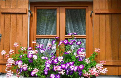 Ferienwohnungen Haus "Wildschütz" - Foto 17