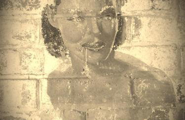 wingate cottage - Foto 8