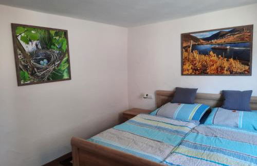 Ferienwohnung Gerhard Lenz - Foto 19