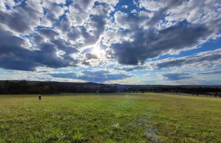 Falkenhof Meisdorf - Foto 25
