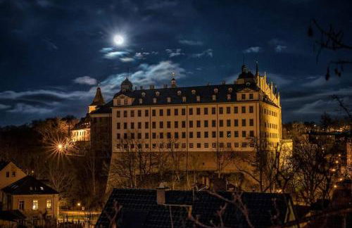 Pension Altenburg City - Foto 1