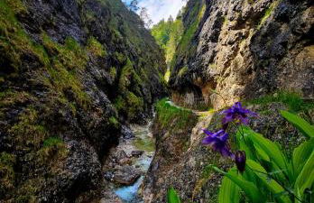 Malterlehen-Berchtesgaden - Foto 55