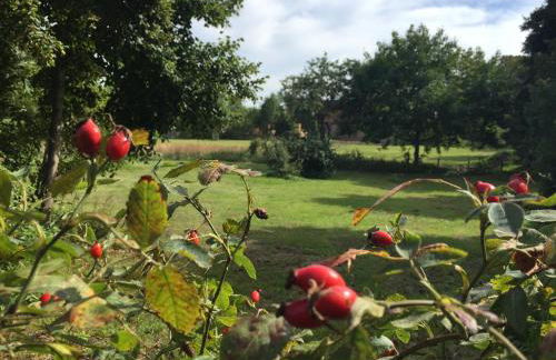 Gemütliche, kleine Ferienwohnung im Küstenland - Foto 13
