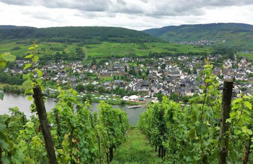 Ferienhaus Bullay - Foto 75