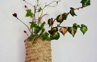 La Furmumecha - Photo 11