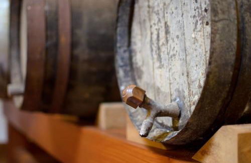 Finca Remedios - Foto 19